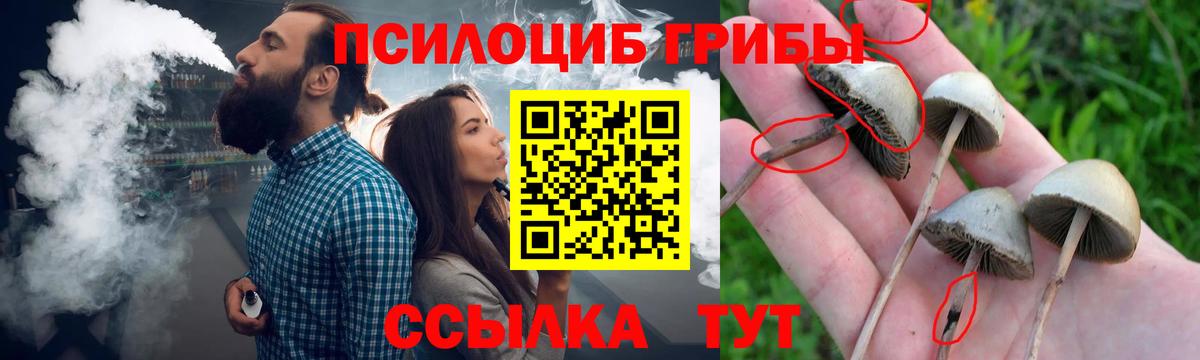 Псилоцибиновые грибы мицелий  Галлюциногенные грибы ЛСД  Таганрог  Вход с VPN 